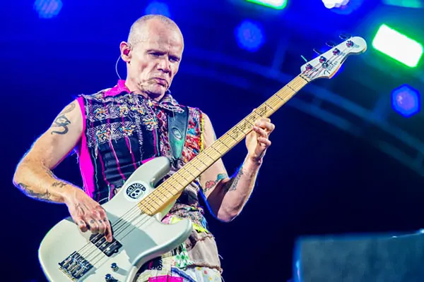 flea