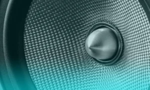 Instrumentos que nunca se tocan en público
