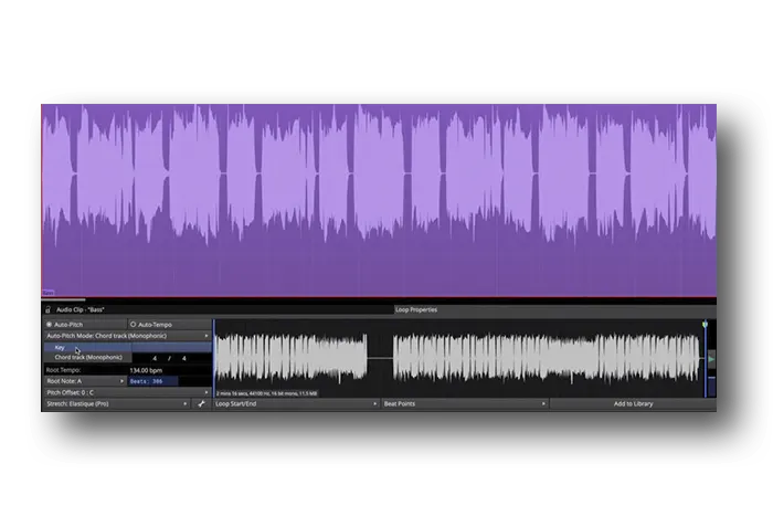 Waveform Pro 04