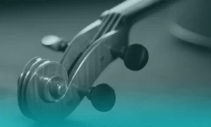 Anatomía del cuello en violinistas: ajustes posturales