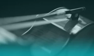 Animales que reaccionan a la música de violín