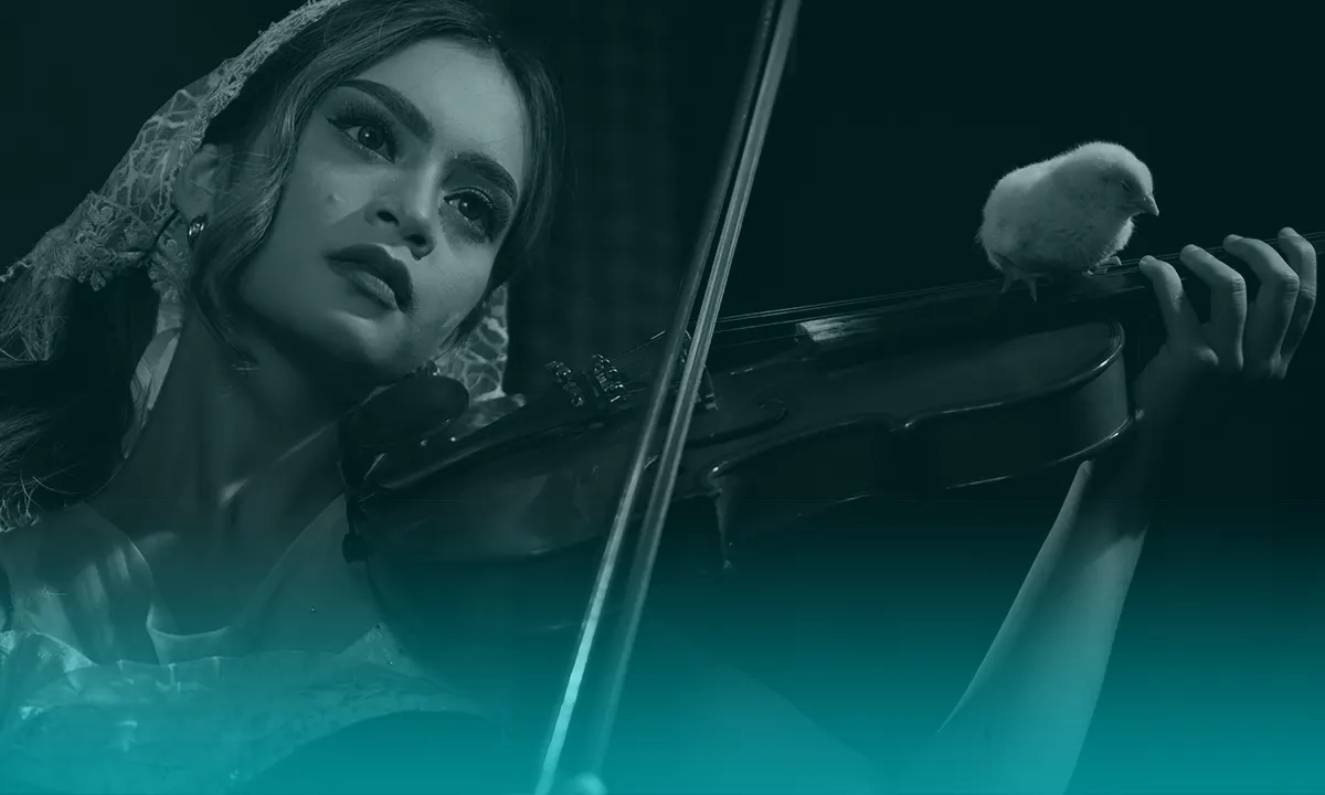 Cine documental sobre violinistas callejeros