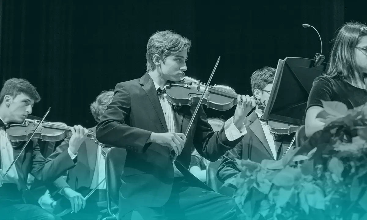 El duelo tras perder un violín querido