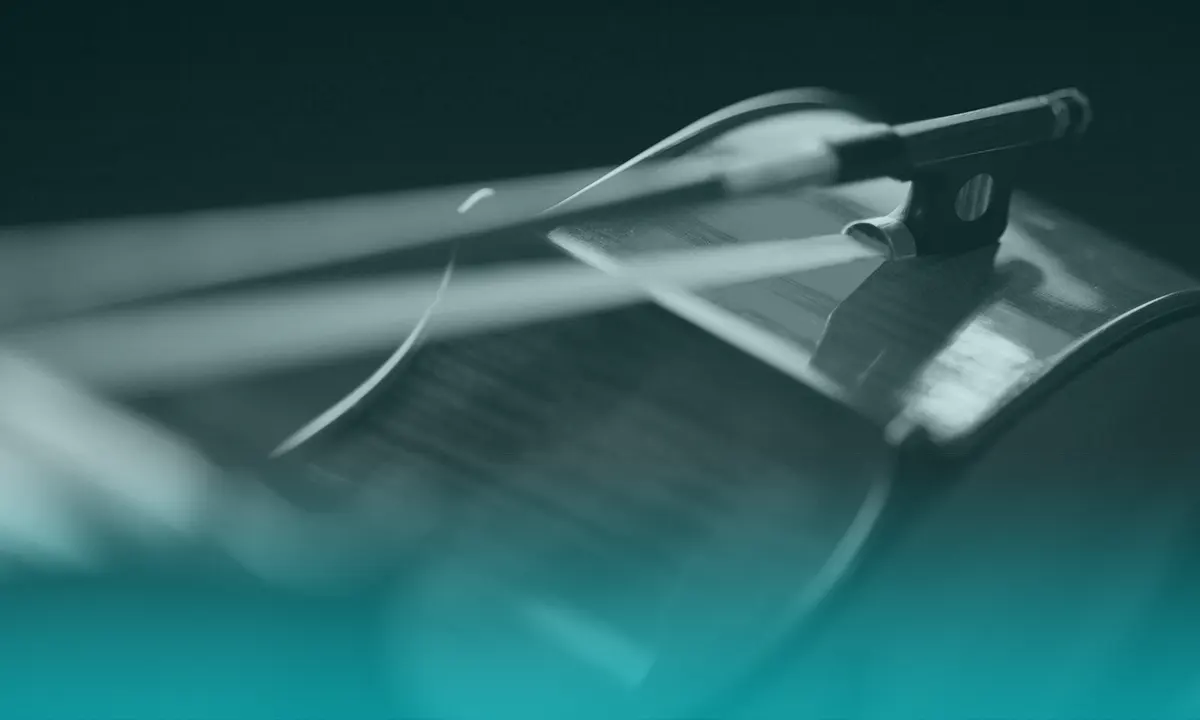 Los 5 mejores violines eléctricos del mercado