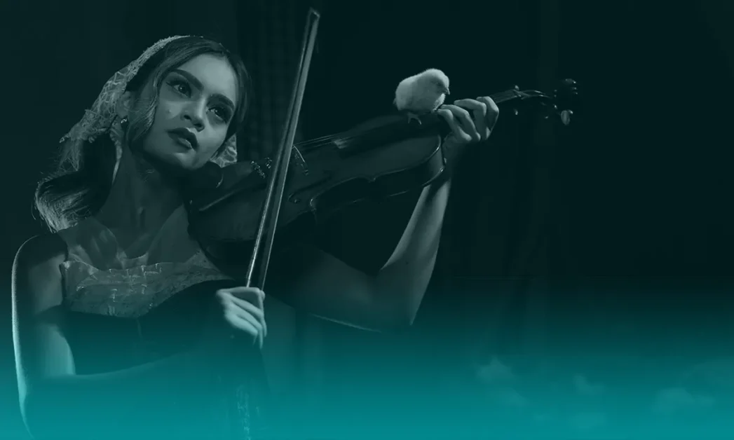 Los secretos detrás de un buen arco de violín