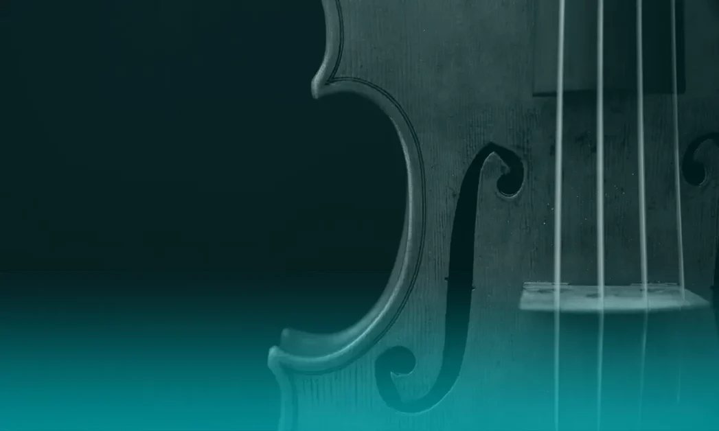 Tocar violín y meditar: conexiones neuronales en común