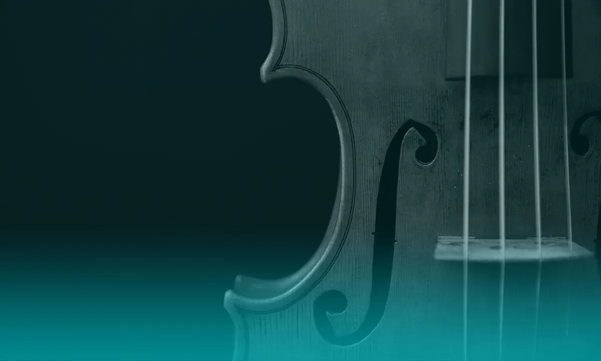 Tocar violín y meditar: conexiones neuronales en común