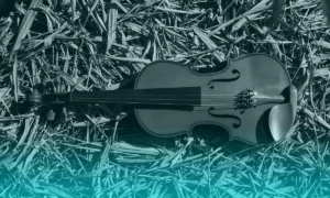 Violinistas que usan realidad aumentada en sus conciertos