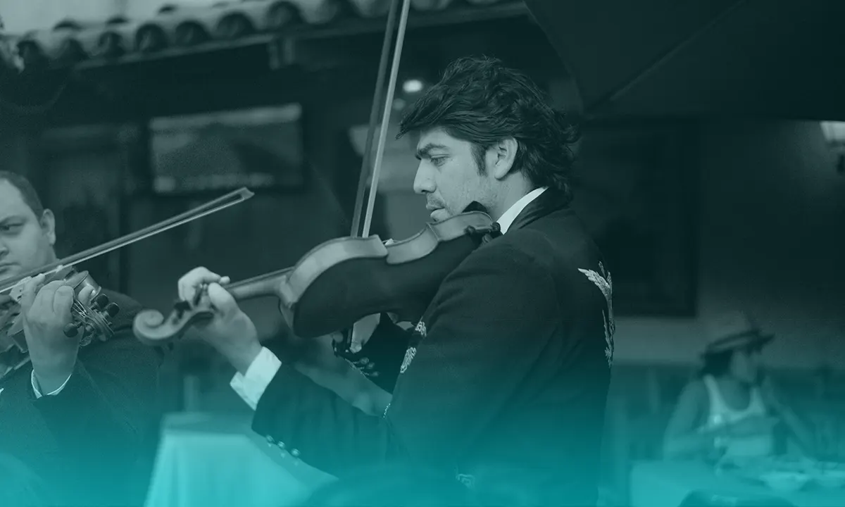 ¿Qué pasa si tocas el violín todos los días durante un año?